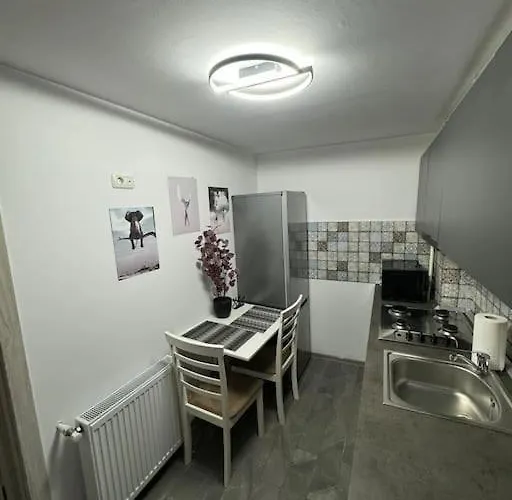 Apartment Pico Apartament's *