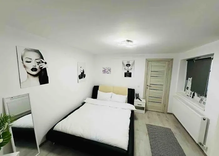 Apartment Pico Apartament's *